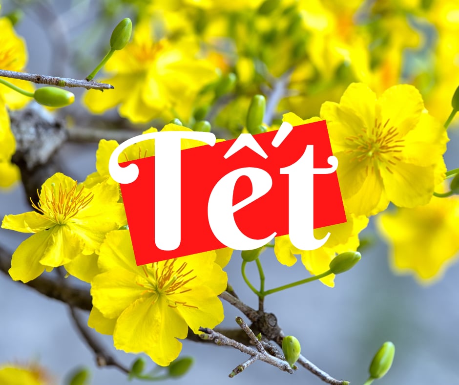 Tết